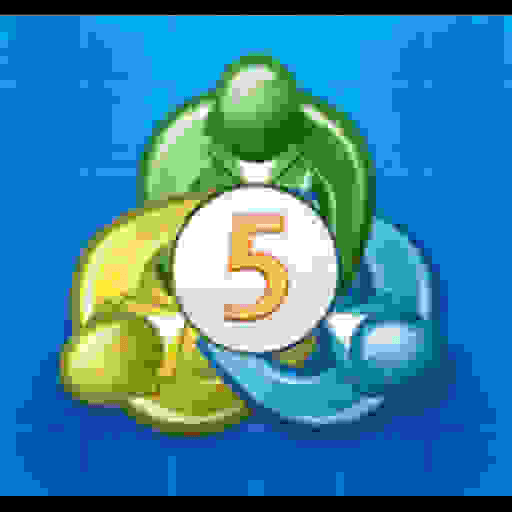 META TRADER 4&5